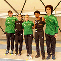 Ciatti Titolo nell'asta